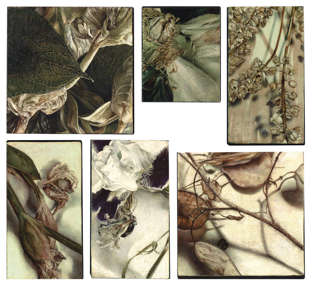     encre v&eacute;g&eacute;tale - aquarelle / bois enduit